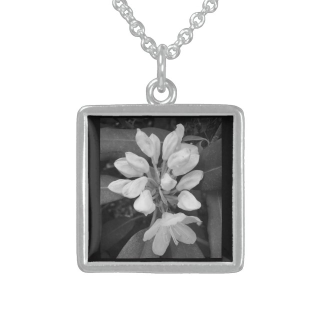 Rhododendron Mountain Laurel in Black and White Sterling Silver Necklace (Front)