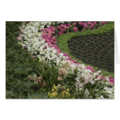 Rhododendron (Rhododendron catawbiense) Heath (Front Horizontal)