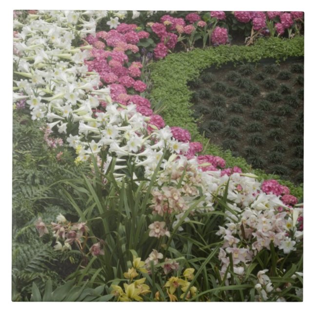 Rhododendron (Rhododendron catawbiense) Heath Ceramic Tile (Front)