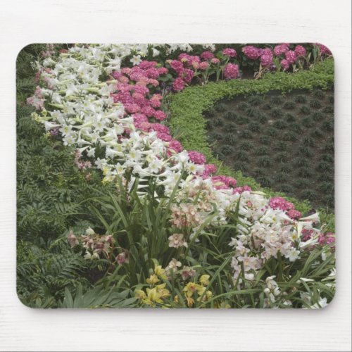 Rhododendron Rhododendron catawbiense Heath Mouse Pad