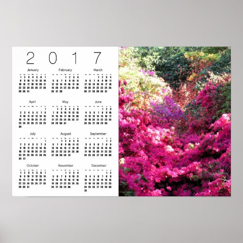 Rhododendron White Calendar Poster 2017