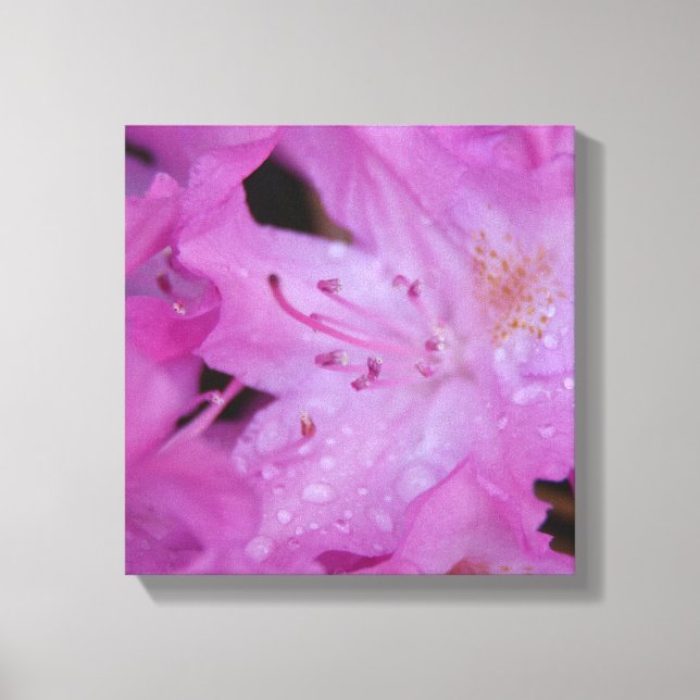 Rhododendron Wrapped Canvas Print (Front)