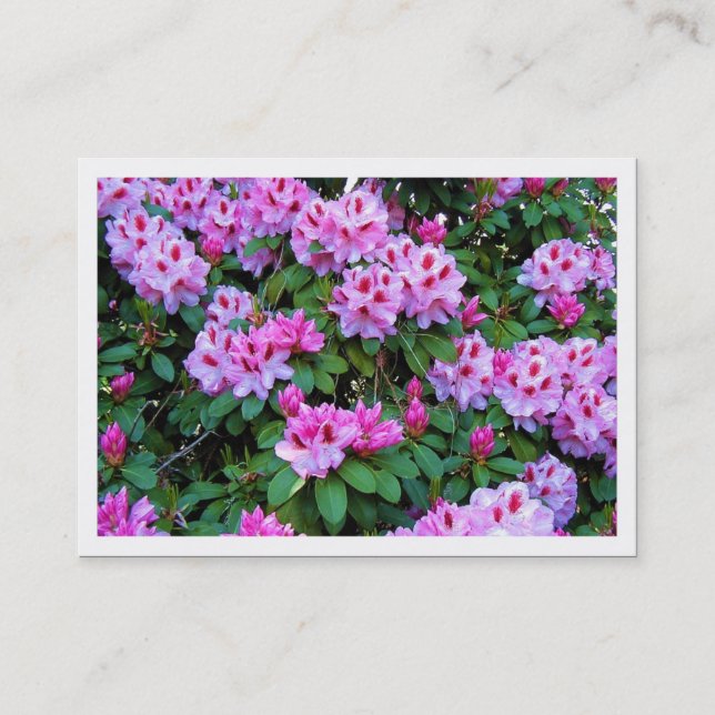 Rhododendrons, Mini Photo Card (Front)