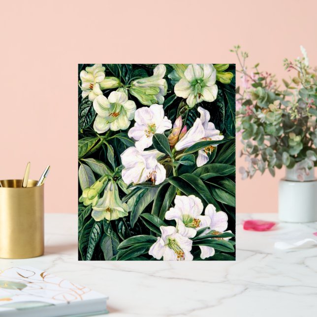 Rhododendrons of North India Acrylic Sign (Wedding)