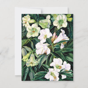 Rhododendrons of North India Card