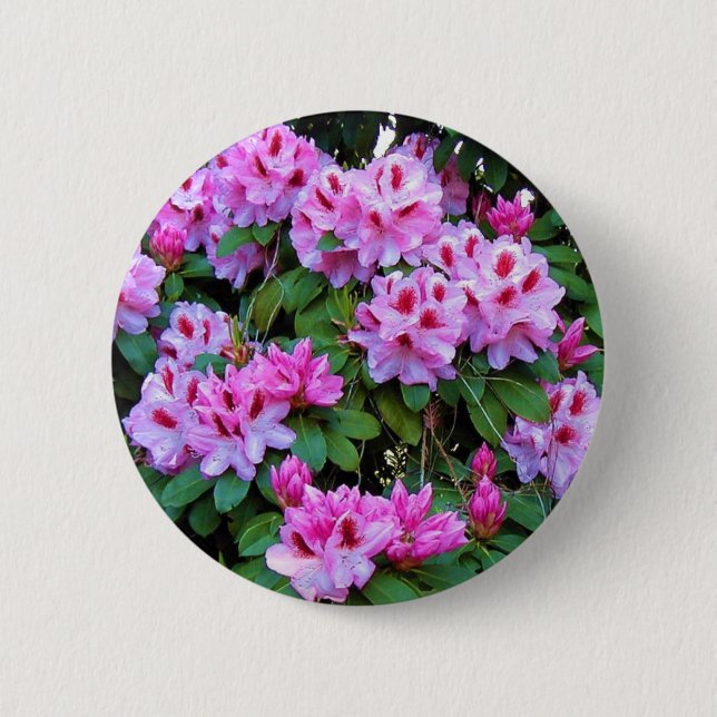 Rhododendrons Pinback Button (Front)
