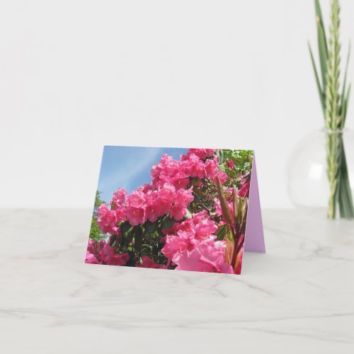Rhododendrons _ Vancouver BC Note Card