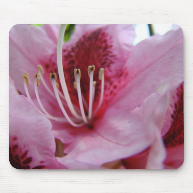 RHODODENDRUM Flowers MOUSE PADS MOUSEPAD (Front)