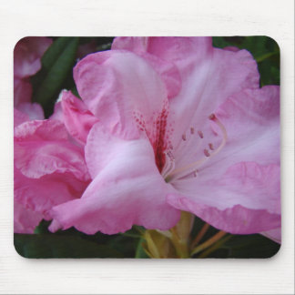RHODODENDRUMS Flowers MOUSE PADS MOUSEPAD