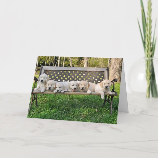 Rhonda's Valor Litter Bench Photo Card (Front)