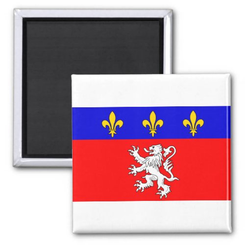 Rhone_alpes France Flag Magnet