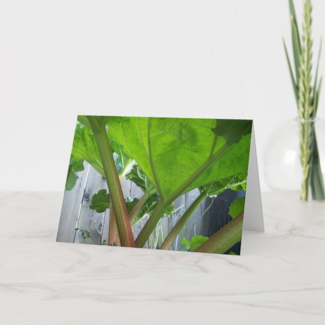 Rhubarb card (Front)