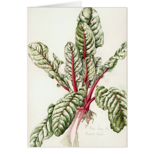 Rhubarb Chard 1992 Cards (Front)