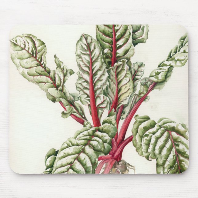 Rhubarb Chard 1992 Mouse Pad (Front)