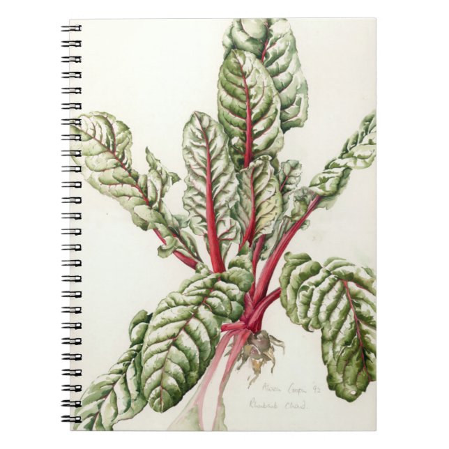 Rhubarb Chard 1992 Notebook (Front)