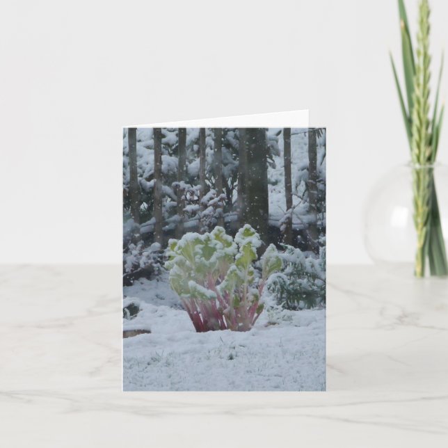 Rhubarb in Snow Card (Front)