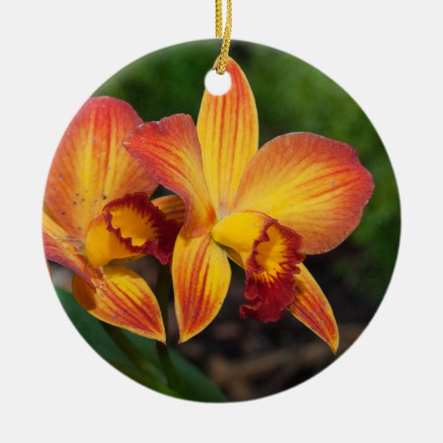 Rhyncattleanthe Love Tapestry Ceramic Ornament (Front)