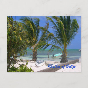 Rhythm of Belize Beach Postcard