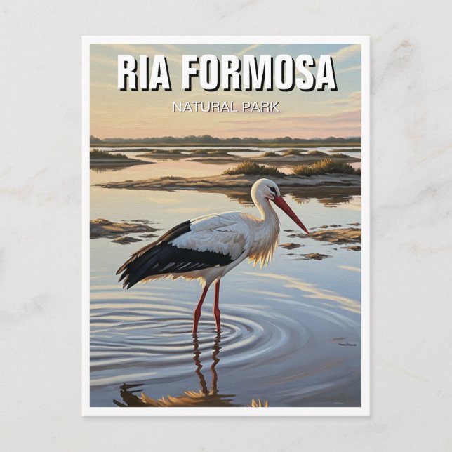 Ria Formosa Natural Park Portugal Travel Postcard (Front)