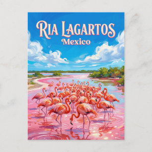 Ria Lagartos Biosphere Reserve Mexico Postcard