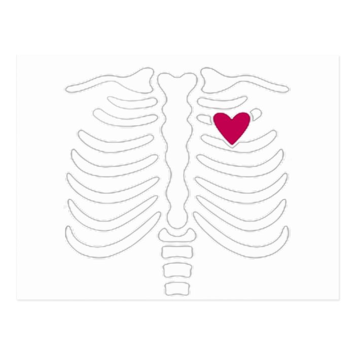 Rib Cage and Heart Post Card