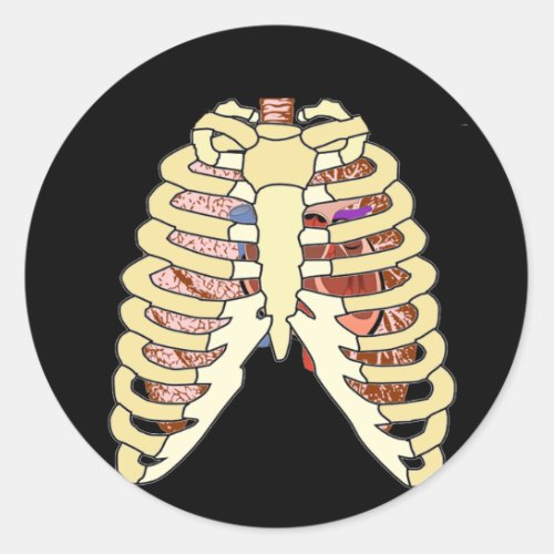 Rib Cage Lungs  Heart Classic Round Sticker