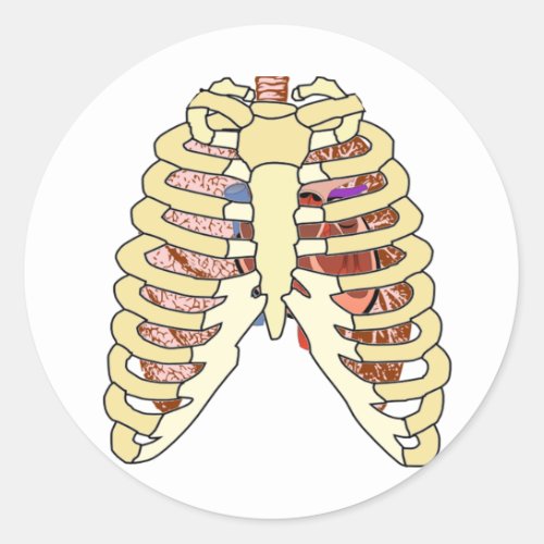 Rib Cage Lungs  Heart Classic Round Sticker