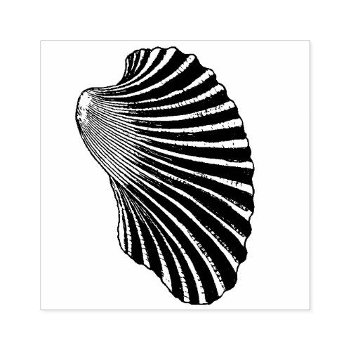 Ribbed Clam Shell Illustration Rubber Stamp