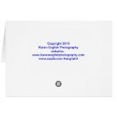 Ribbit (Back Horizontal)