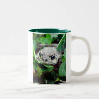 Ribbit, Ribbit Two-Tone Mug