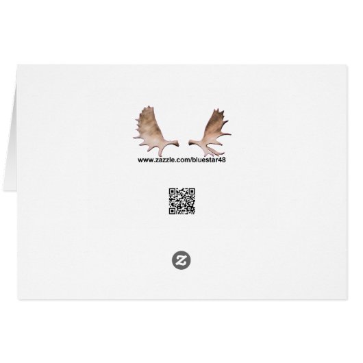 Ribbon Seal On Ice (Back Horizontal)