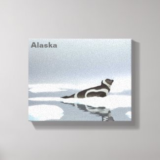 Ribbon Seal On Ice