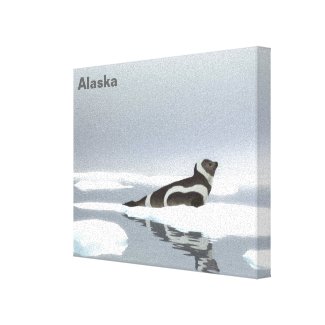 Ribbon Seal On Ice