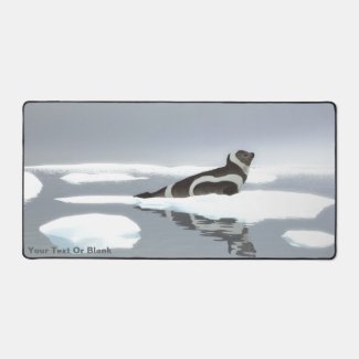 Ribbon Seal On Ice