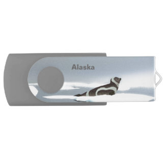 Ribbon Seal On Ice Flash Drive
