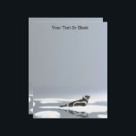 Ribbon Seal On Ice Letterhead<br><div class="desc">A beautiful, brown and white Ribbon Seal resting on an ice floe on a very gray and dreary day. Customize by adding your own text. The ribbon seal (Histriophoca fasciata) is a medium-sized pinniped from the true seal family (Phocidae). They are among the most striking and easily recognizable. They can...</div>