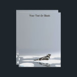 Ribbon Seal On Ice Letterhead<br><div class="desc">A beautiful, brown and white Ribbon Seal resting on an ice floe on a very gray and dreary day. Customize by adding your own text. The ribbon seal (Histriophoca fasciata) is a medium-sized pinniped from the true seal family (Phocidae). They are among the most striking and easily recognizable. They can...</div>