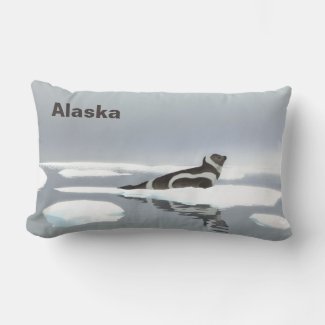 Ribbon Seal On Ice