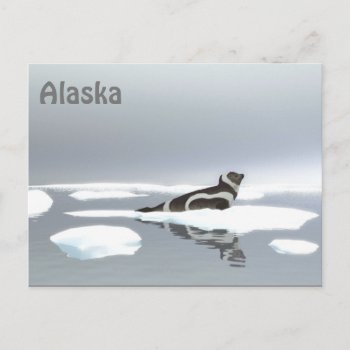 Ribbon Seal On Ice Postcard by Bluestar48 at Zazzle