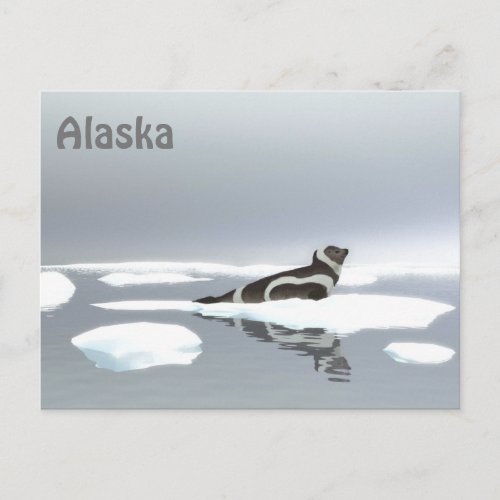 Ribbon Seal On Ice Postcard