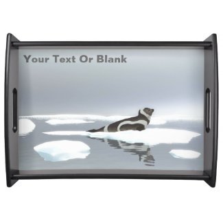 Ribbon Seal On Ice