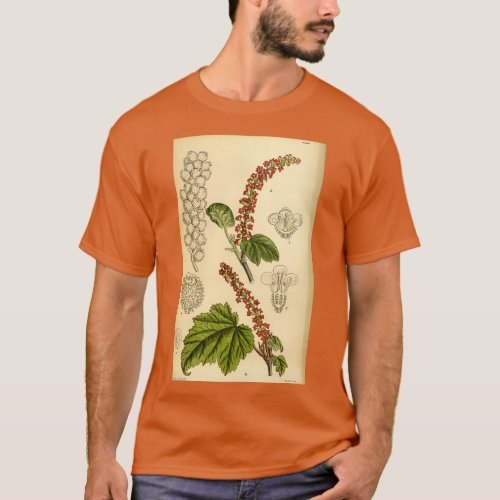 Ribes jessoniae 146 8840 T_Shirt