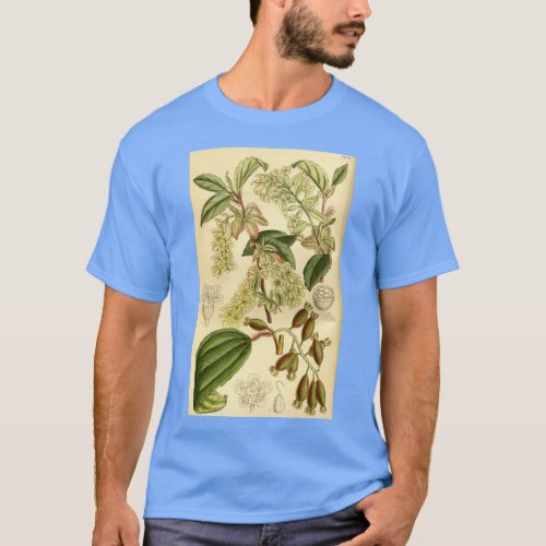 Ribes laurifolium 140 8543 T_Shirt