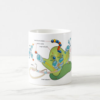 Ribosome mRNA tRNA molecules proteins Diagram  Coffee Mug