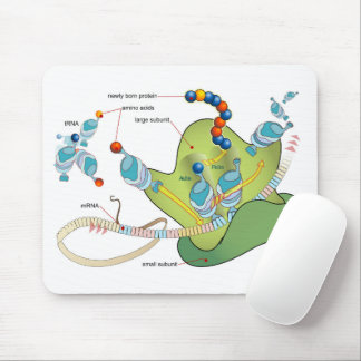 Ribosome mRNA tRNA molecules proteins Diagram  Mouse Pad