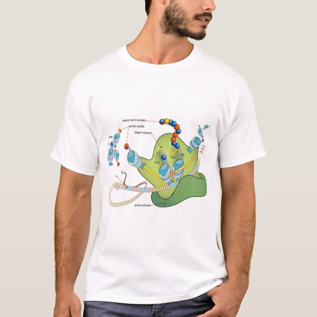 Ribosome mRNA tRNA molecules proteins Diagram  T-Shirt (Front)