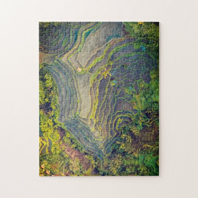 Rice field landscape photo art jigsaw puzzle (Vertical)