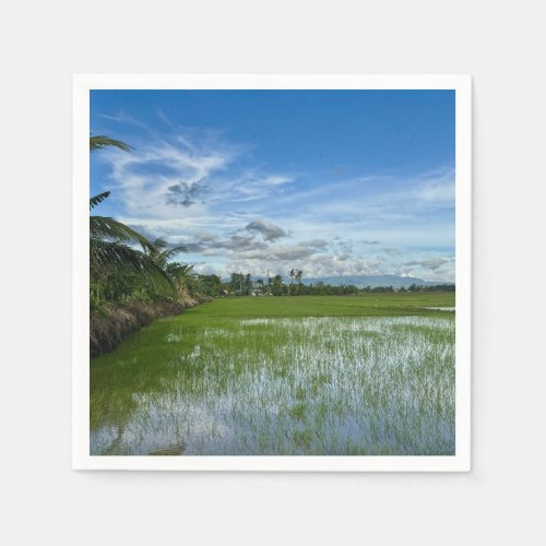Rice field under a bright blue sky napkins