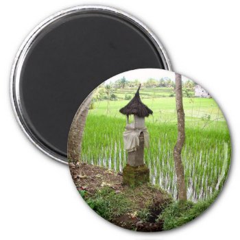 Rice Paddy  Temple  Ubud Bali  Indonesia Magnet by sequindreams at Zazzle