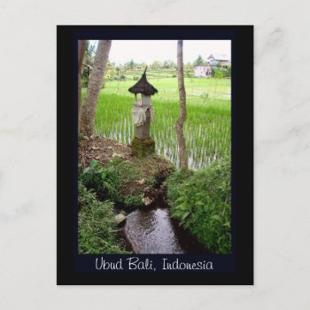 Rice Paddy  Temple  Ubud Bali  Indonesia Postcard by sequindreams at Zazzle